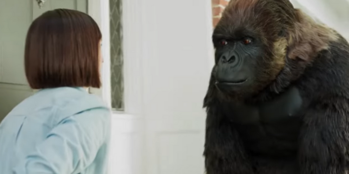 GYORSTALPALÓ GORILLA Heavy Duty Mounting
